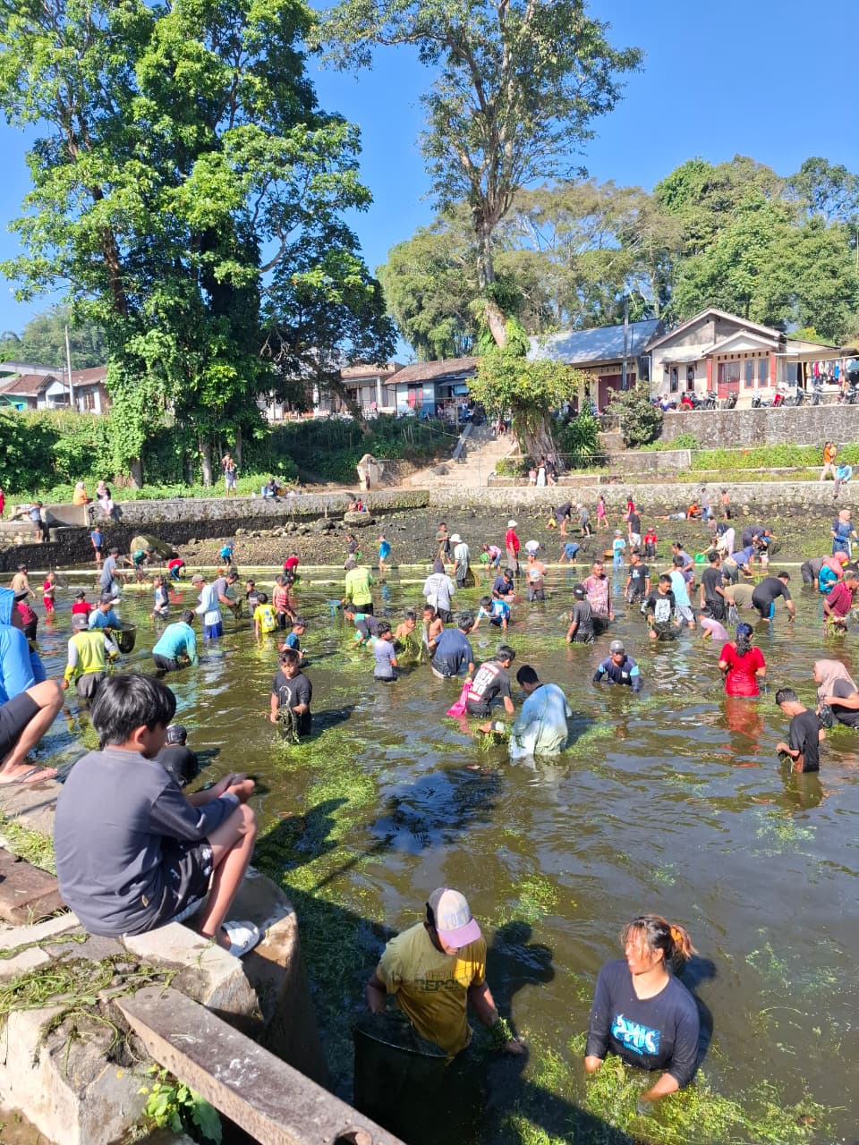 Gambar Berita