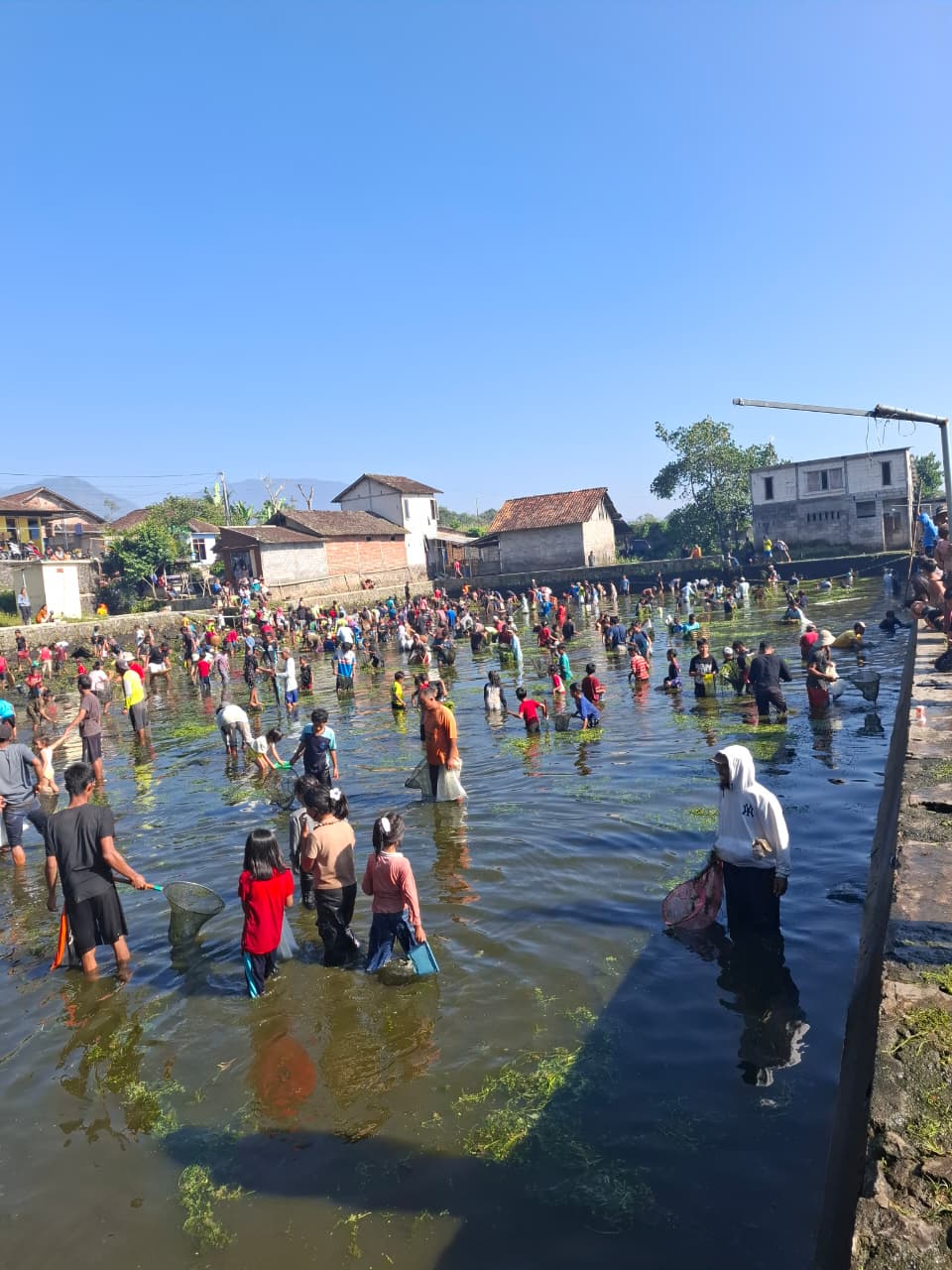 Gambar Berita